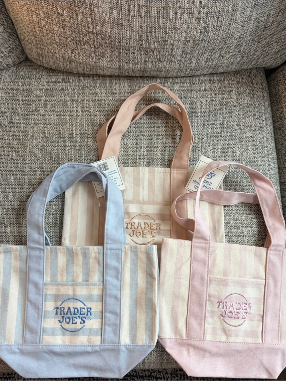 Trader Joe’s mini Stripe Canvas Tote Bag